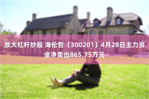 放大杠杆炒股 海伦哲（300201）4月28日主力资金净卖出865.75万元
